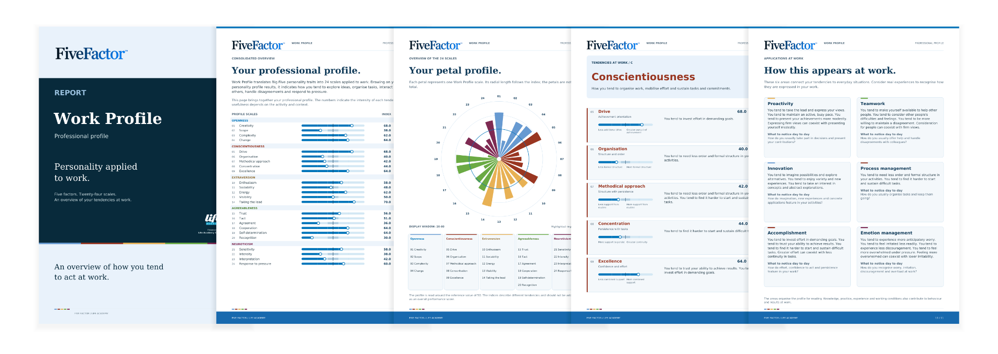 BIG Five Work Profile page composition